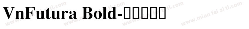 VnFutura Bold字体转换